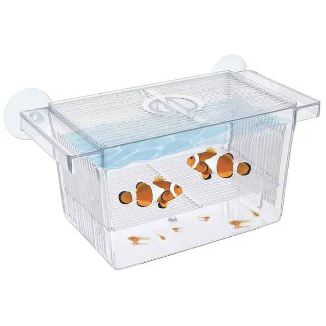 pawfly cw0424-tp aquarium zuchtbox acryl