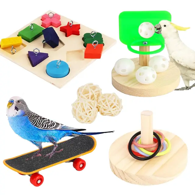 wishesmar 5-teilig papageienspielzeug