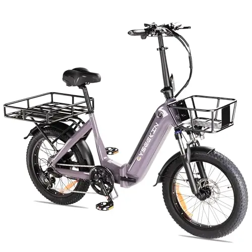 C20 Pro Ebike Klapprad, 20x3.0 Zoll E Bike mit Fahrradkörbe vorne und hinten, LCD Farbdisplay Hydraulische Bremsen Fatbike, 48V 15.6Ah Akku 250W Motor Pedelec bis 25km/h 120km