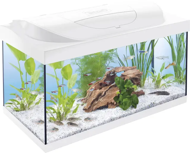 tetra starter line 54 l aquarium weiß