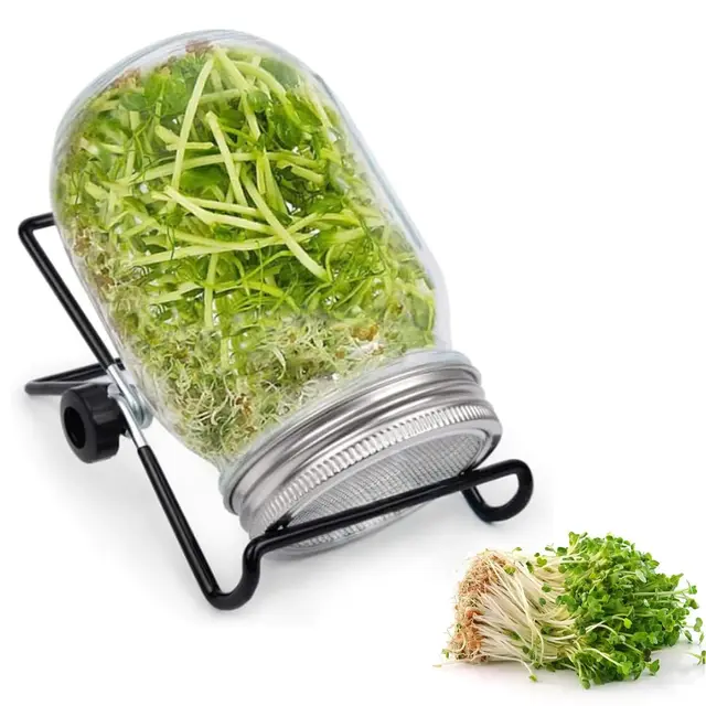 Sprossenglas Keimglas Set, 1000ml Keimglas für Sprossenglas Sprouting jar mit 1 Filtergitterabdeckungen aus Edelstahl 304 und 1 Ständer, für Alfalfa Brokkoli Mungobohnen
