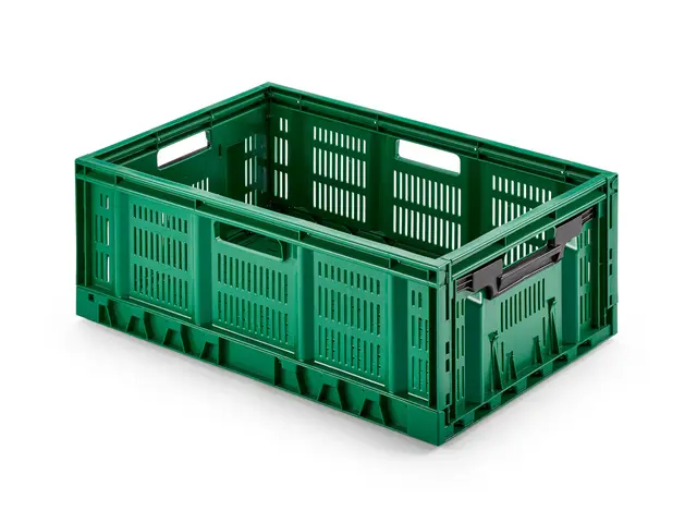 Stabile Profi-Klappbox Faltbox, 60x40 cm (lxbxh) Wände durchbrochen/perforiert, klappbar u. stapelbar, Industriequalität aus DE, langlebig, 100% recylebar, lebensmittelecht (grün, 60x40x23 cm)