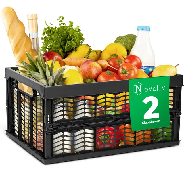 Novaliv Klappbox faltbar 2x 30L Schwarz Kunststoff