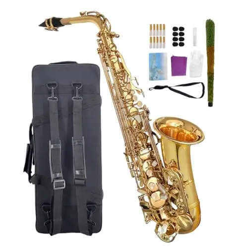 wuqimusc guanyue024 altsaxophon set