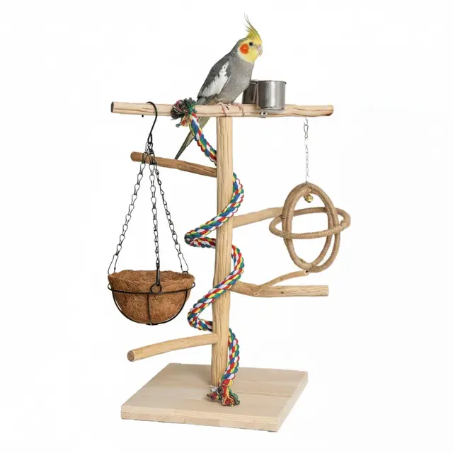 petstive papageien spielplatz naturholz