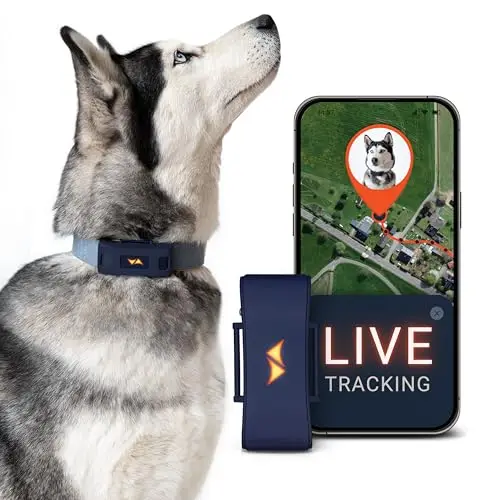 PAJ 4G GPS-Hundetracker