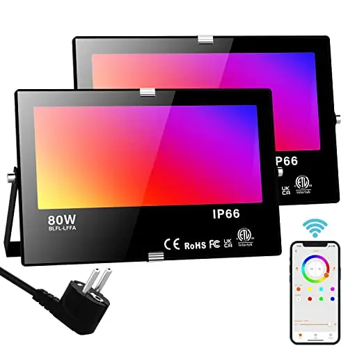 neliwo rgb fluter 80w