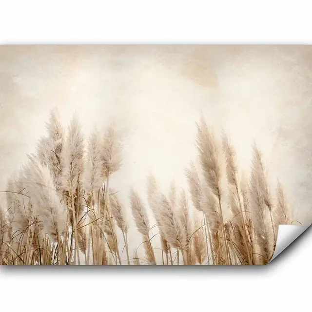 murando - Vlies Fototapete Pampasgras 400x280 cm - Foto Tapete Schlafzimmer Wohnzimmer Moderne Vliestapete XXL Wandtapete Motivtapeten 3d Effekt Wand Dekoration - Trockenblumen b-A-10095-a-a