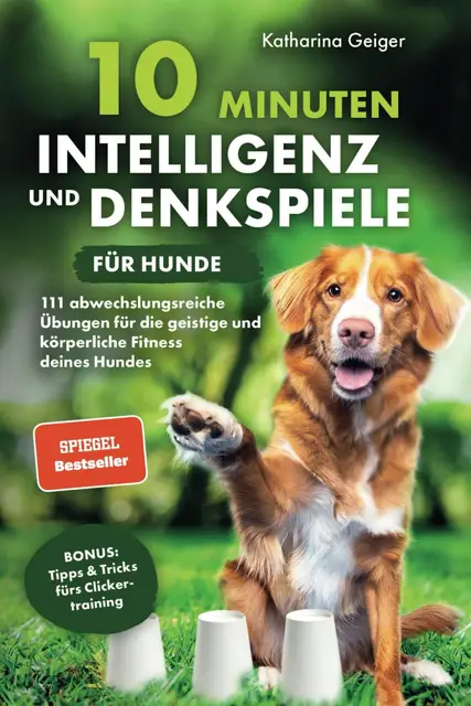 katharina geiger intelligenzspiele