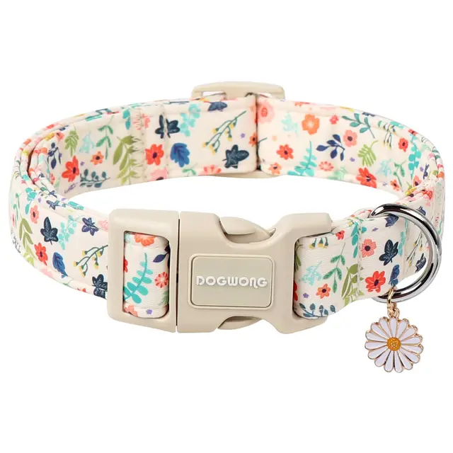 dogwong hundehalsband gemustert