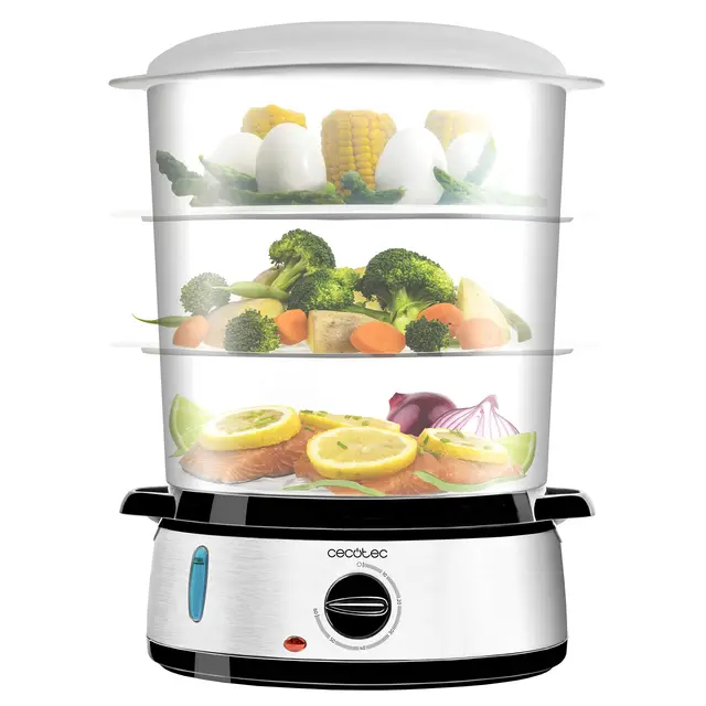 cecotec vapovita 3000 inox dampfgarer