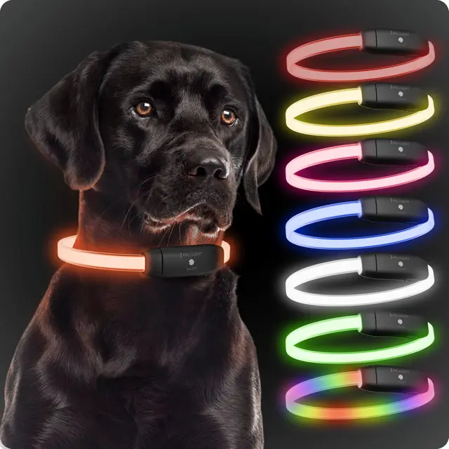 paj gps light led collar leuchthalsband