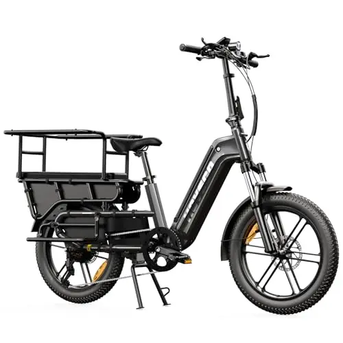 HOVSCO Elektrofahrrad Lasten-E-Bike für Damen Herren 20"x3.0" Fat Tire E Bike mit App-Steuerung & Federung, 48V 15AH Akku 250W Motor 204kg Maximalbelastung 55KM Reichweite