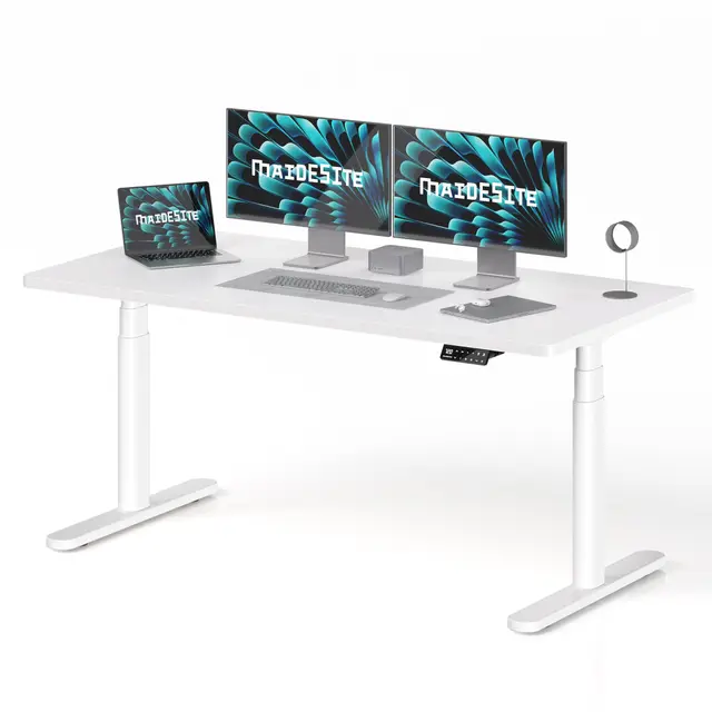 MAIDeSITe Höhenverstellbarer Schreibtisch, 160x80cm Ovaler Höhenverstellbar Stehtisch Elektrisch, Energieeffizient Flüsterleiser Dualmotor Traglast 180kg Mit Kollisionsschutz Funktion-S2 Plus Art