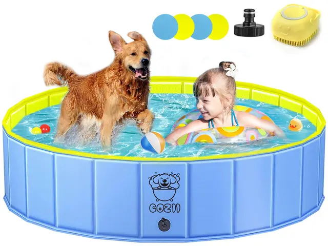 COZII Hundepool 120 cm faltbar rutschfest PVC
