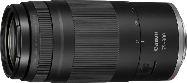 Canon RF 75-300mm Objektiv