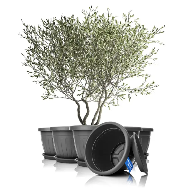 BigDean 6X Blumentopf mit Untersetzer rund ø50xH38 cm anthrazit - wetterfester Pflanzkübel - Wasserablauf UV-beständig aus bruchsicherem Kunststoff - Innen + Außen geeignet - Made in Europe