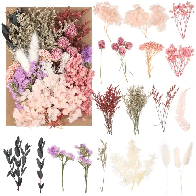 heyu-lotus getrocknete blumen diy rosa