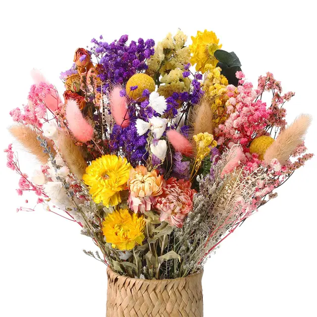 xialvyu 46 stück trockenblumenstrauß 15