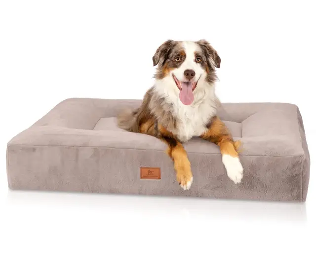 Knuffelwuff orthopädisches Hundebett Midland M-L 80 x 60cm Grau - Hundekissen für große, mittelgroße und kleine Hunde - Waschbar