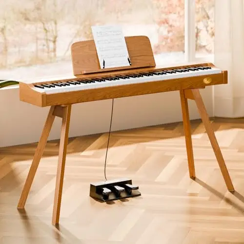 TERENCE P37 Digitalpiano 61 Tasten Hammermechanik