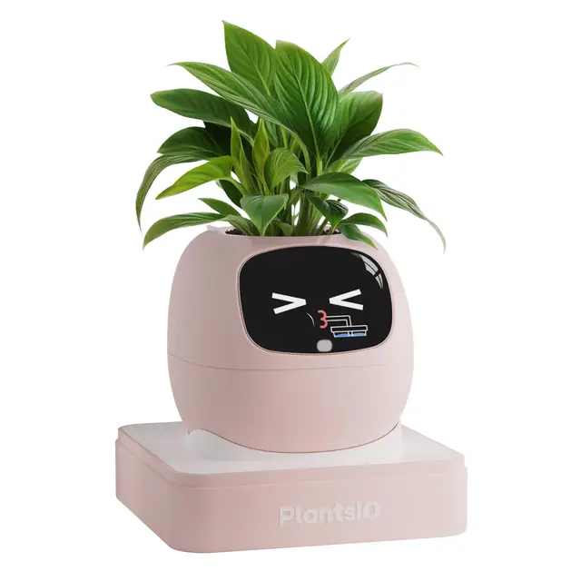 plantsio ivy-02 pflanztopf pink