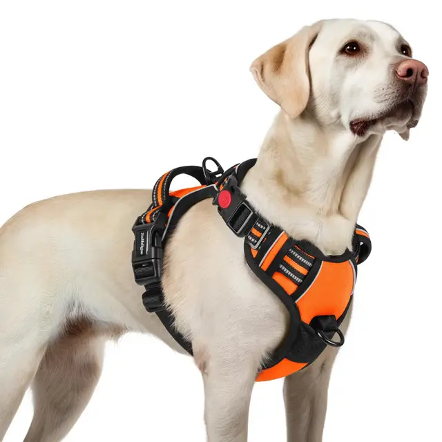 rabbitgoo Verstellbares Hundegeschirr Orange