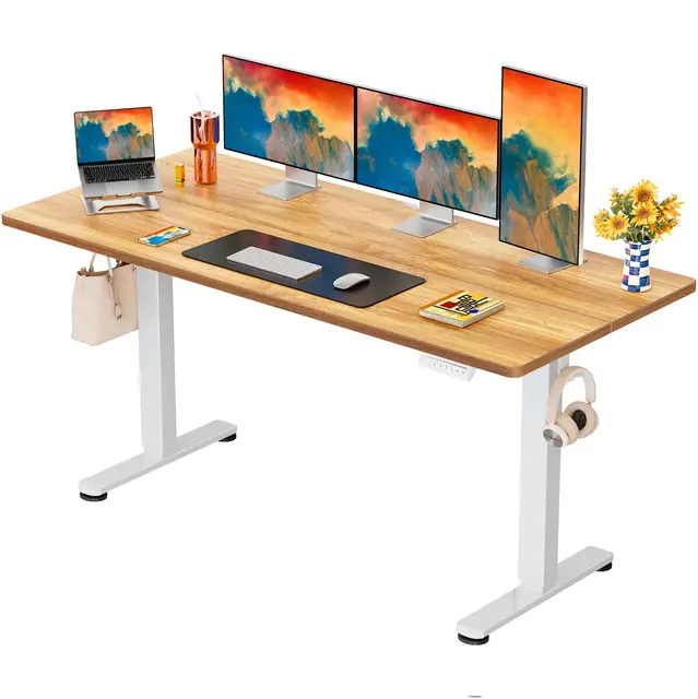 ErGear Elektrisch Höhenverstellbarer Schreibtisch 160 x 80 cm, Schreibtisch Höhenverstellbar mit 4-Gedächtnis-Smart-Pult für Home-Office mit Verbindungsplatte