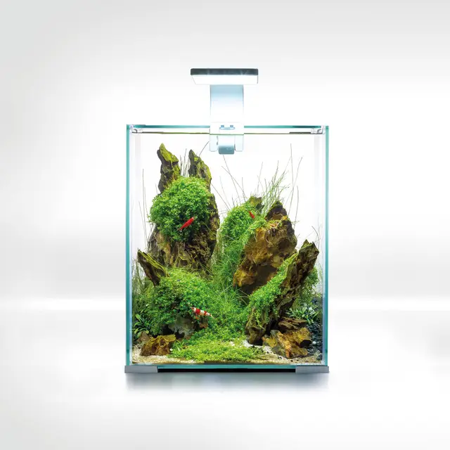aquael shrimp set smart d&n 20 weiß