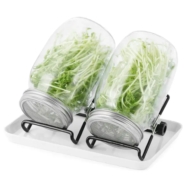 Sprossenglas Set|2er-Set 1000ml Keimglas mit Deckeln und Haltern und Schalen|Sprossengläser für die Sprossenzucht und Keimung von Samen