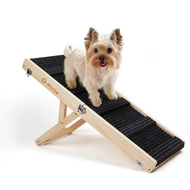 Hunderampe für Sofa und niedrige Möbel, Rampe für kleine Hunde bis 16 kg, höhenverstellbar, klappbar, rutschfeste Oberfläche
