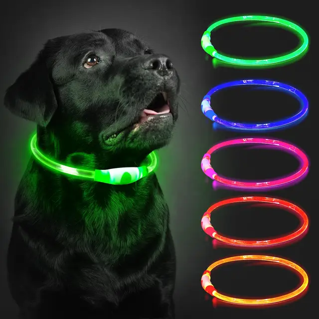 cocodonut led leuchthalsband hund usb