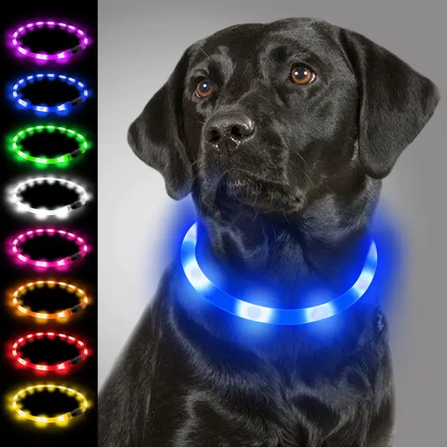 joytale leuchthalsband hund usb