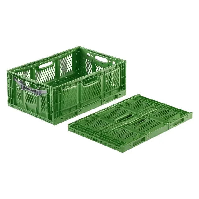 Kunststoff Klappsteige Clever Fresh-Box grün/grau 45 L 600 x 400 x 230 mm, 1 Stück
