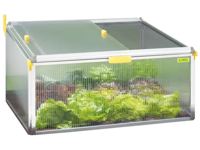 juwel biostar protect 1000