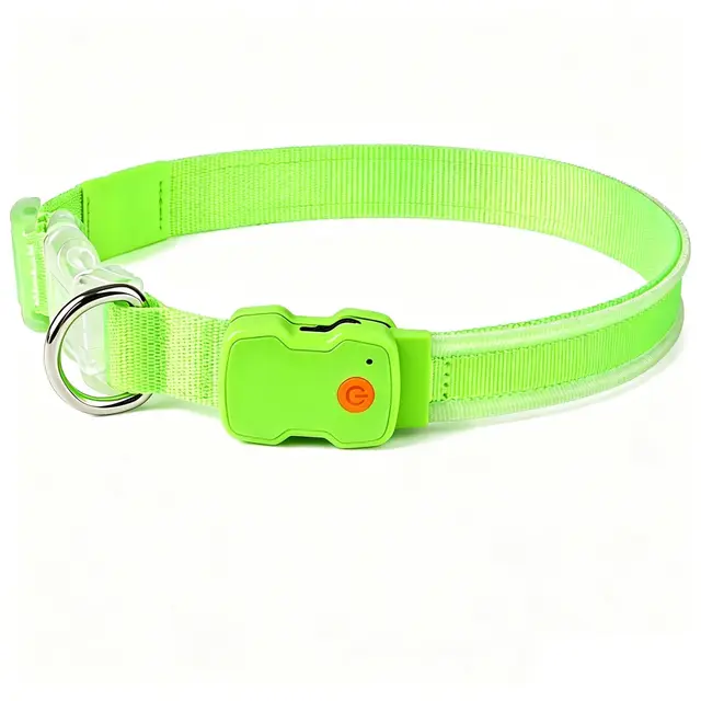 domigard led leuchthalsband hund grün m