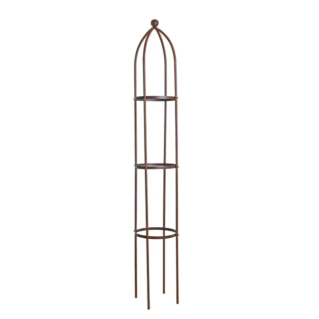 estexo rankobelisk edel-rost 200cm