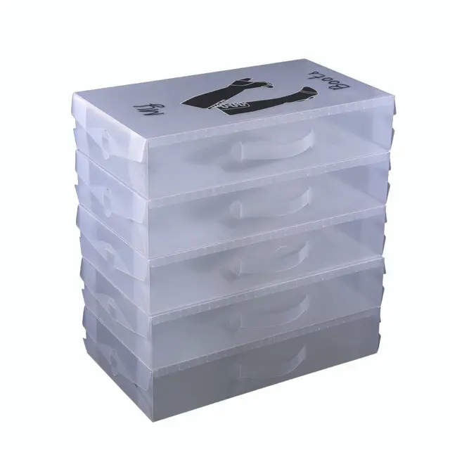 Loywe Schuhaufbewahrung Stiefelbox schuhkasten Stiefel 52x30x11cm, LWA191-5X
