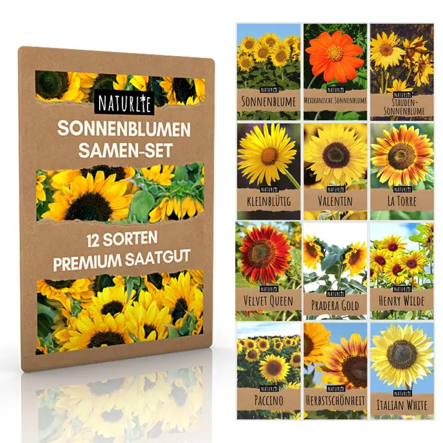 naturlie 12er sonnenblumen samen set